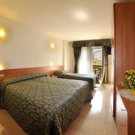 Hotel Alpen Hotel 3*